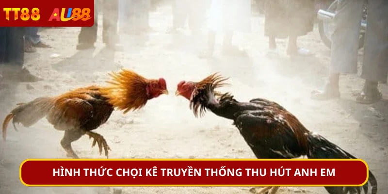 Hình thức chọi kê truyền thống thu hút anh em